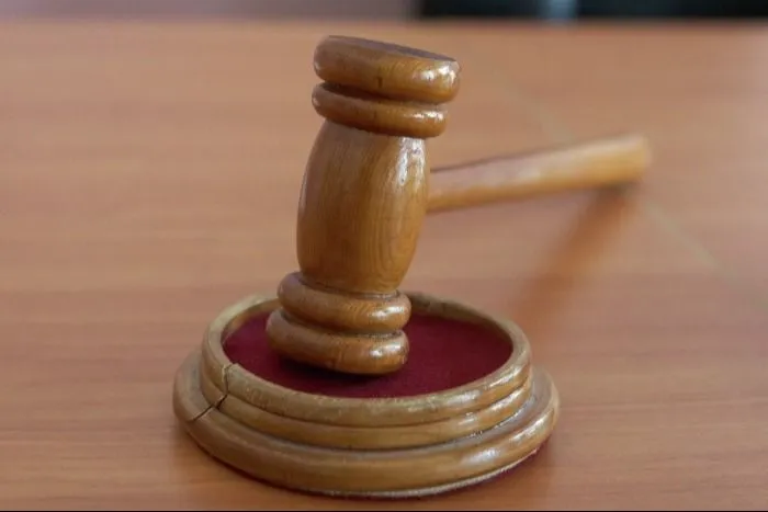Фигуранты по делу Кроноцкого заповедника на Камчатке получили от 2,5 до 5 лет за растрату свыше 450 млн рублей