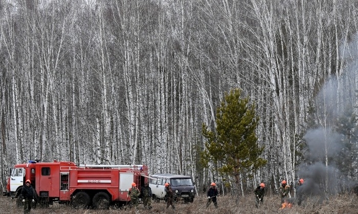 Площадь лесных пожаров в Хабаровском крае за сутки выросла более чем вдвое