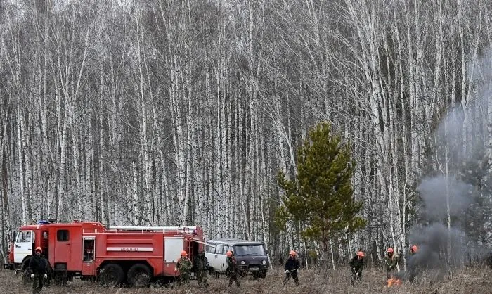 Леса на площади более 18 тыс. га горят в Хабаровском крае