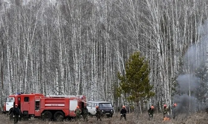 Почти 40 пожаров действуют в лесах в Иркутской области